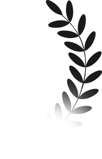 faqs1-illus-2